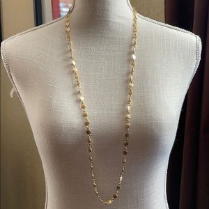 Premier designs long necklace